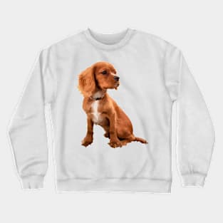 Findigo Cute Doggo Christmas Present Crewneck Sweatshirt